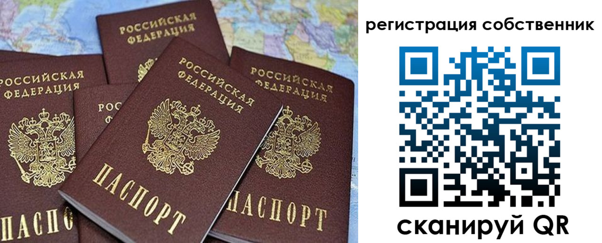 прописка для школы в Протвино